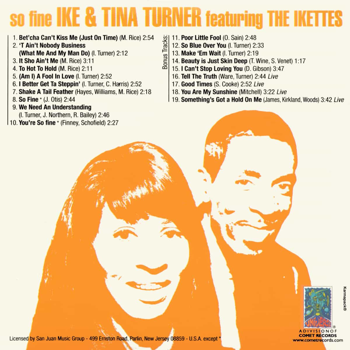 Ike & Tina Turner - Portrait In Blues - Box Set