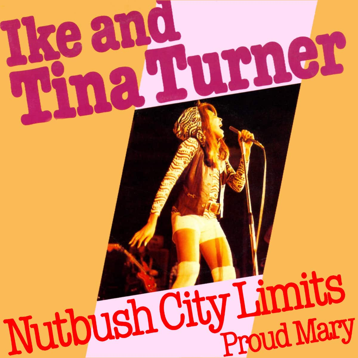 Ike & Tina Turner - Nutbush City Limits (Reissue) - Single