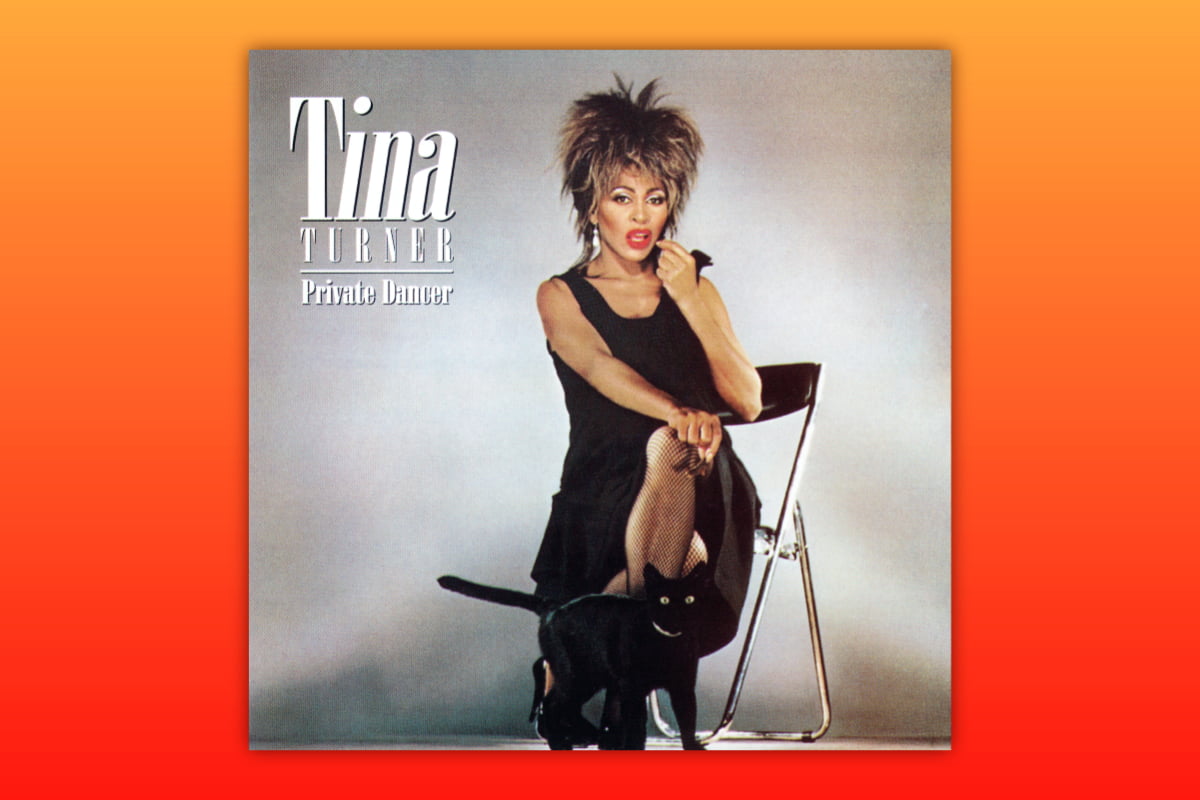 Tina turner simply the best