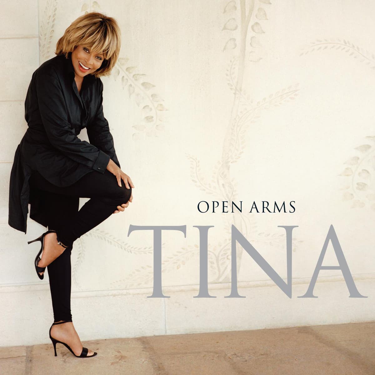 Tina Turner - Open Arms - Single