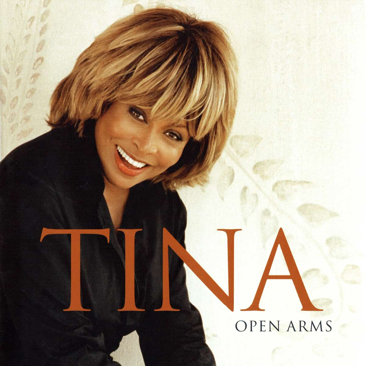 Tina Turner - Open Arms - Single