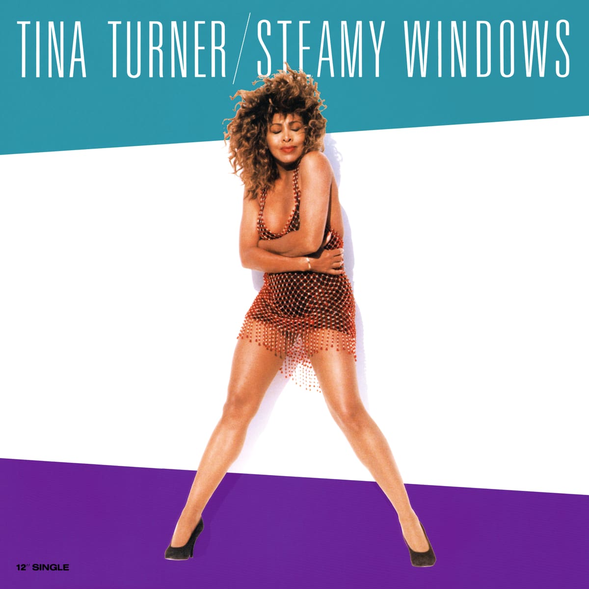 Tina Turner - Steamy Windows (Remix) - Single