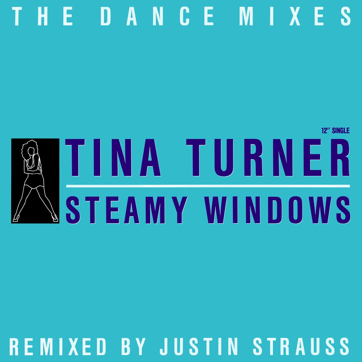 Tina Turner - Steamy Windows (Remix) - Single