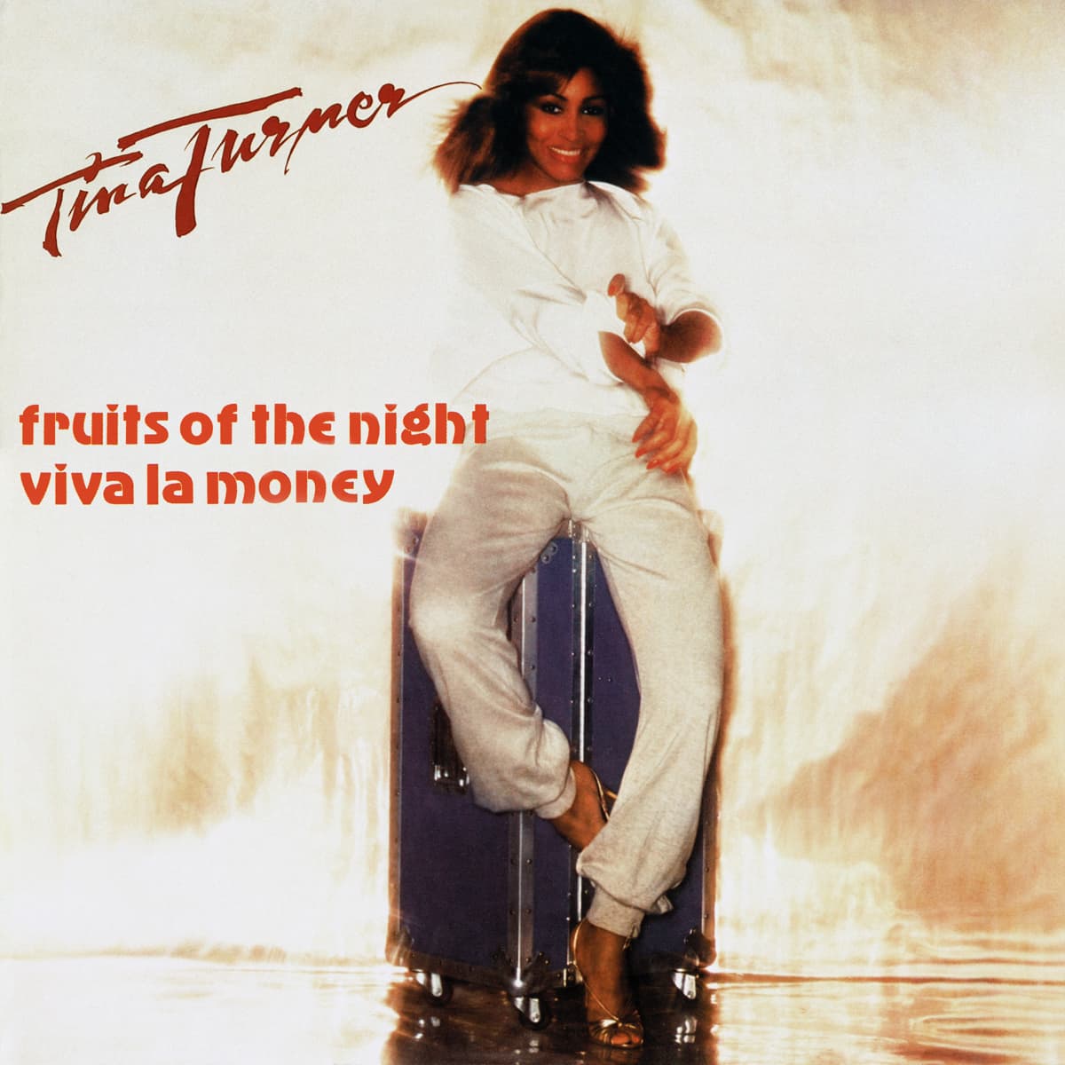 Tina Turner - Fruits Of The Night - Single