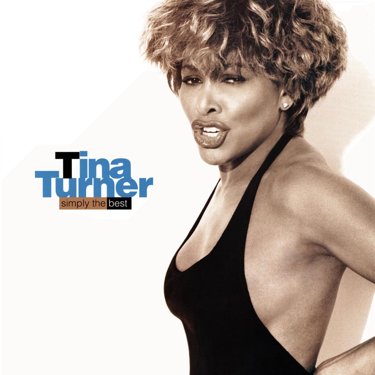 Tina Turner - Simply The Best - Front Cover