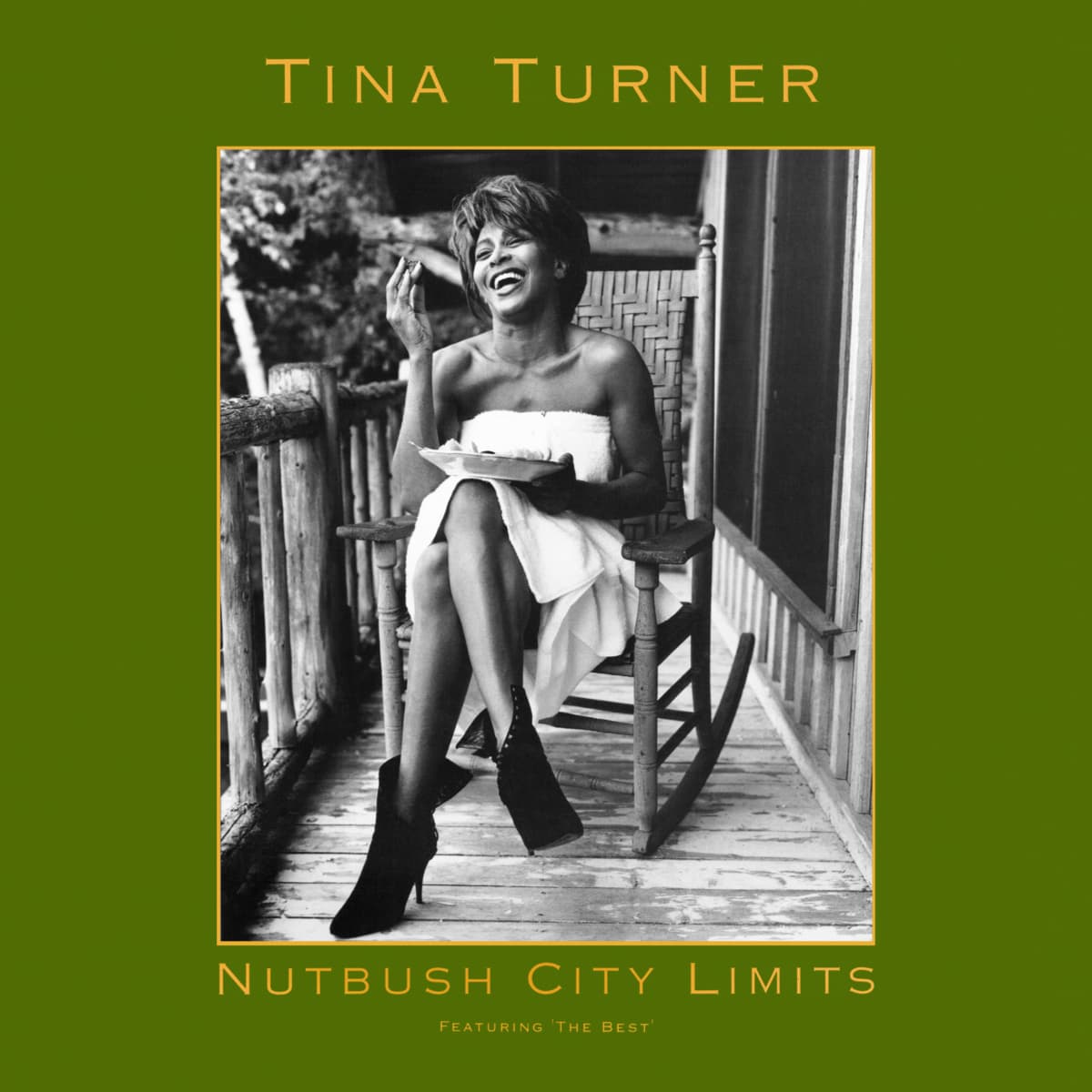 Tina Turner - Nutbush City Limits - Single