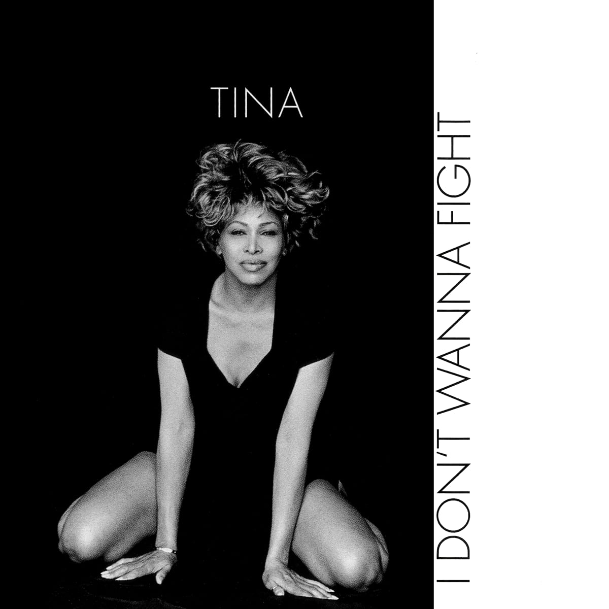 Tina Turner - I Don't Wanna Fight - Single