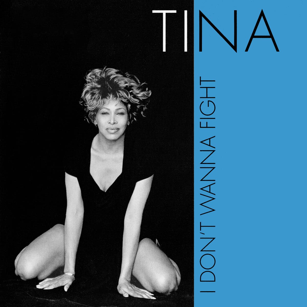 Tina Turner - I Don't Wanna Fight - Single