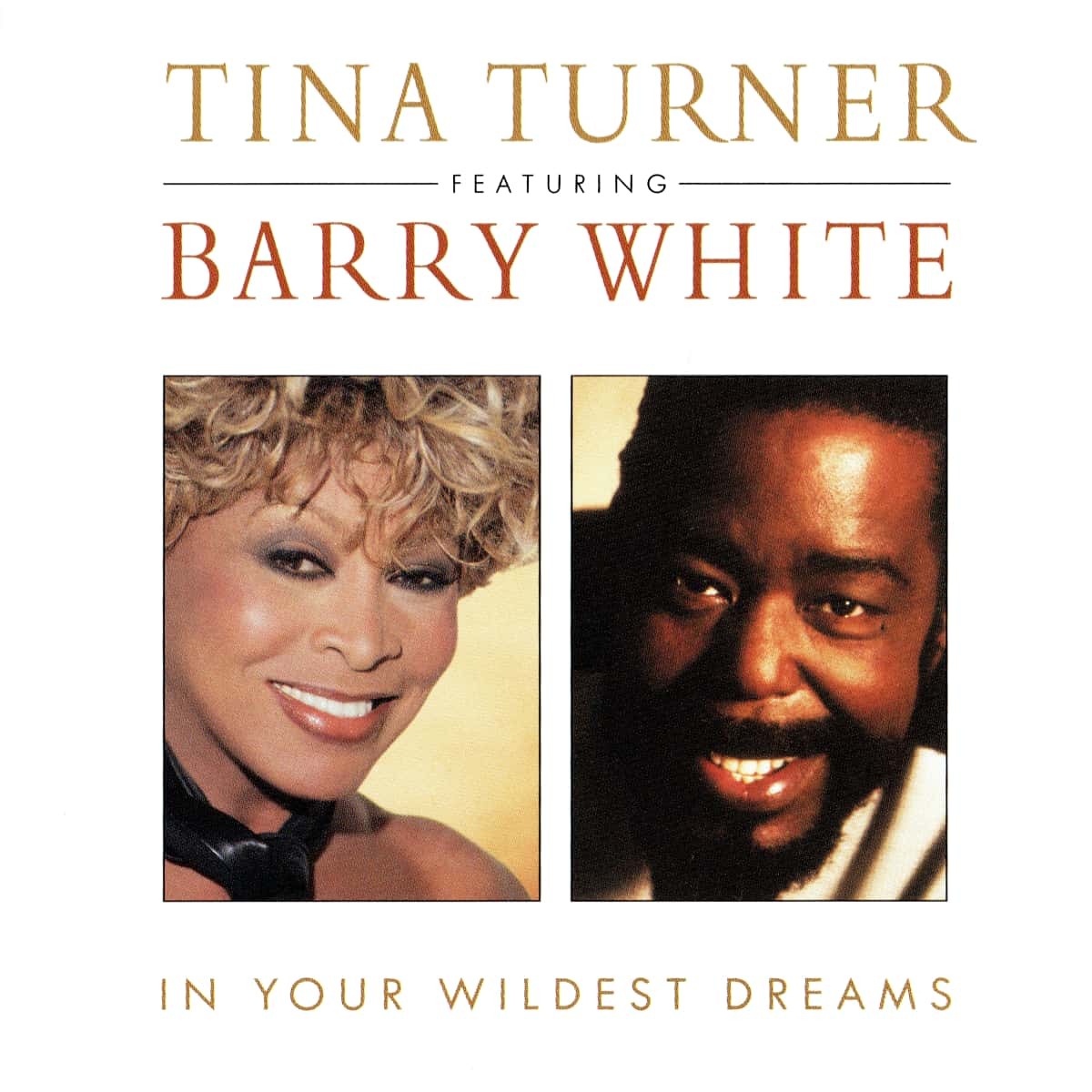 Tina Turner - In Your Wildest Dreams - Single