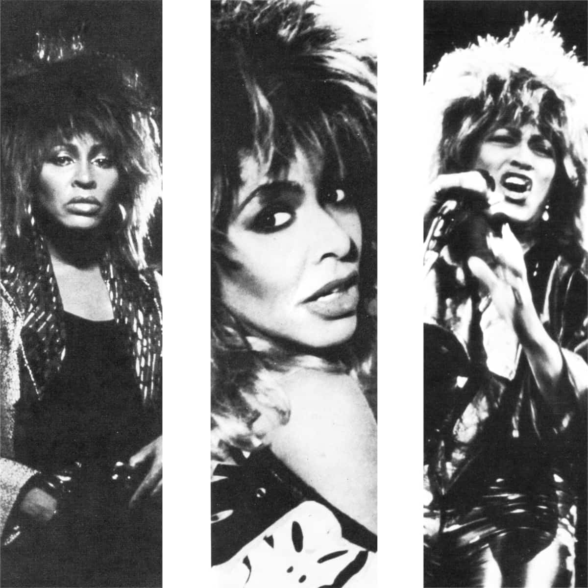 Tina Turner - Circulo De Lectores - Album