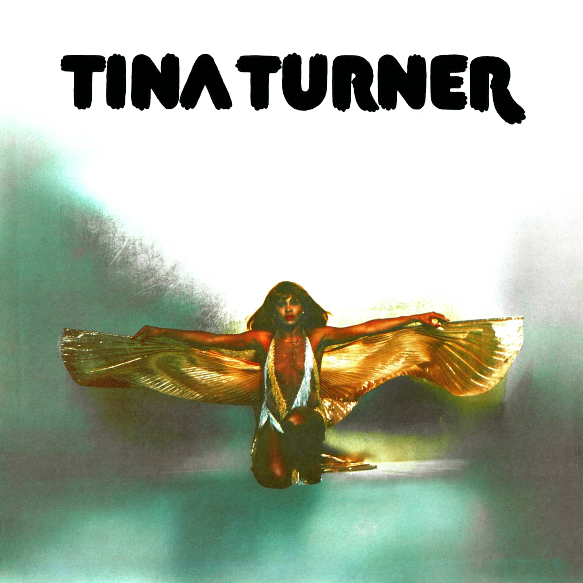 Tina Turner - The Bitch Is Back - Album