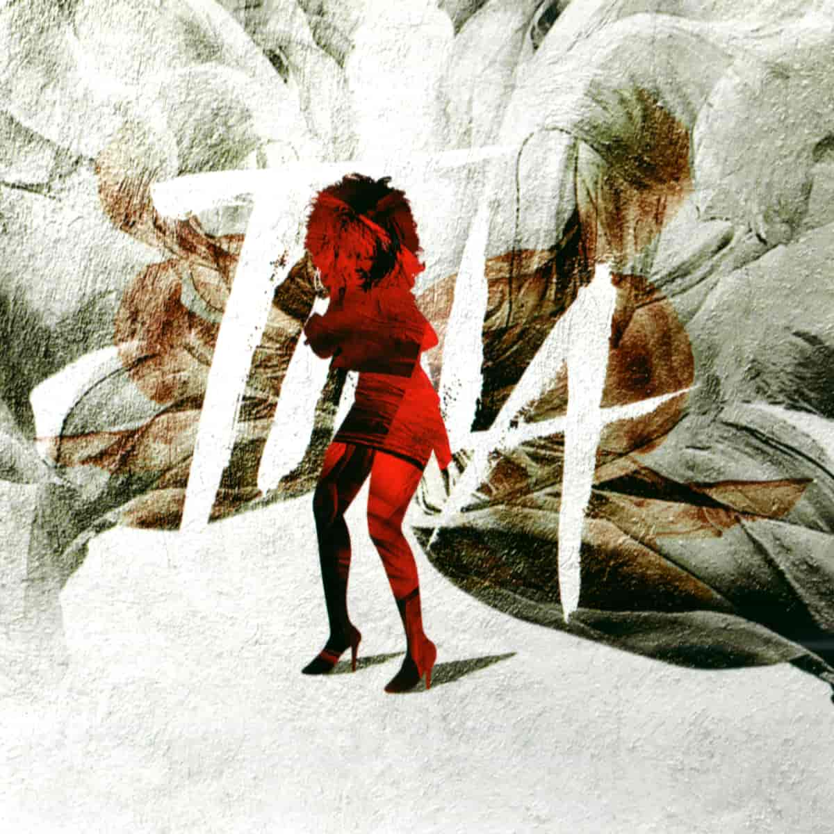 Tina Turner - The Many Faces of Tina Turner - Album