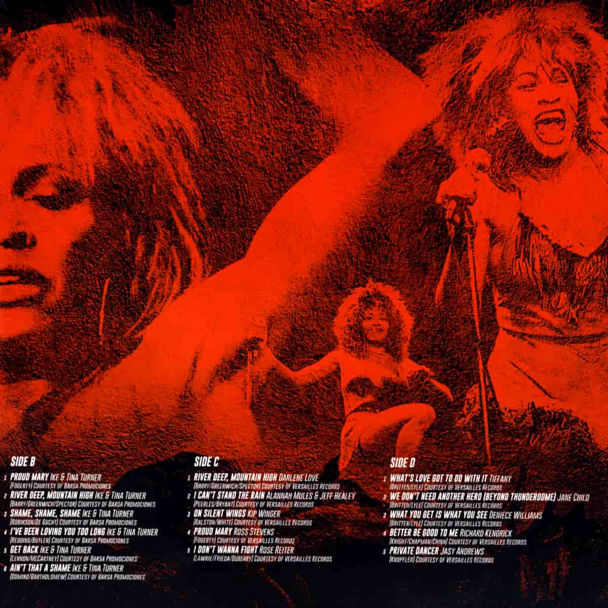 Tina Turner - The Many Faces of Tina Turner - Album