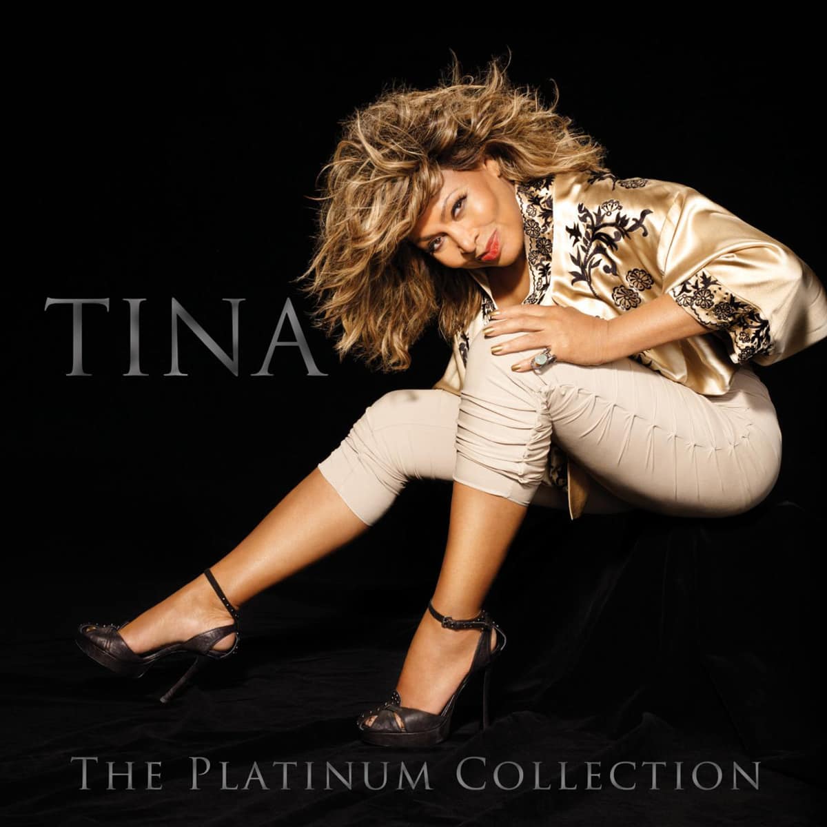 Tina Turner - The Platinum Collection - Album