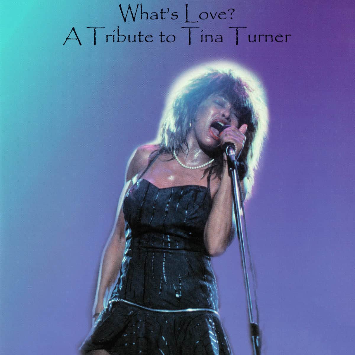 Tina Turner - What's Love Tribute - Album
