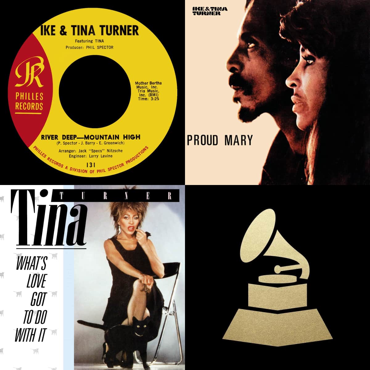 Tina Turner - Grammy Hall of Fame - Award