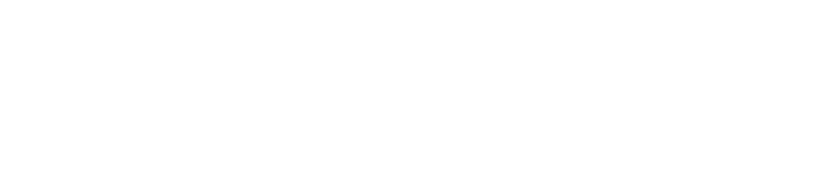 Tina Turner - MTV Video Music Awards