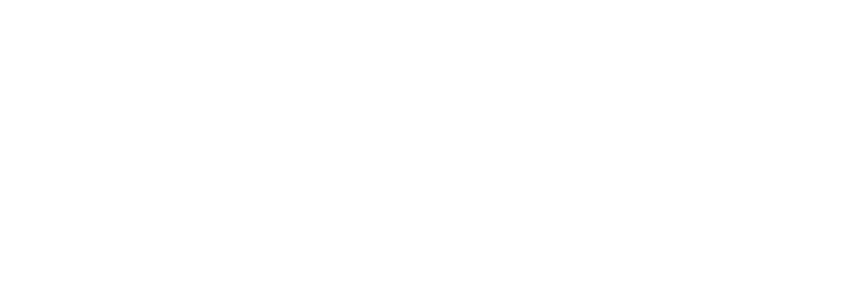 Tina Turner - TARA - Award