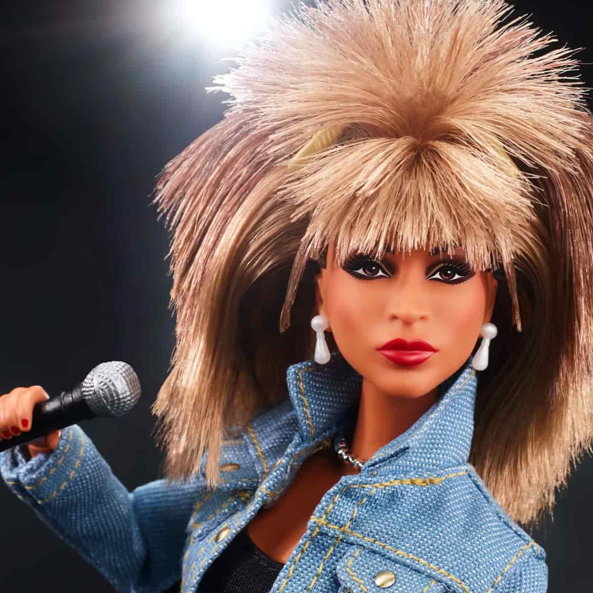 Tina Turner - Signature Music Series Barbie Doll