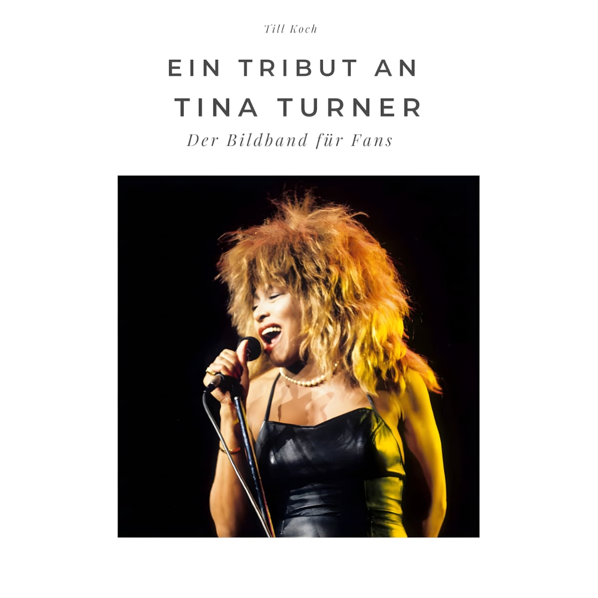 Tina Turner - A Tribute To Tina Turner - Book