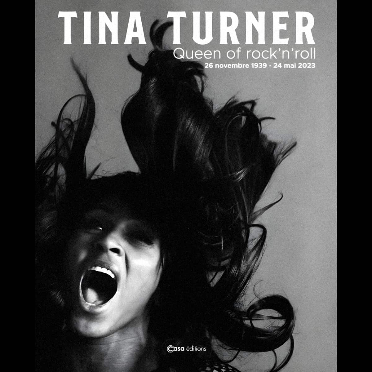 Tina Turner - Queen Of Rock'n Roll - Book