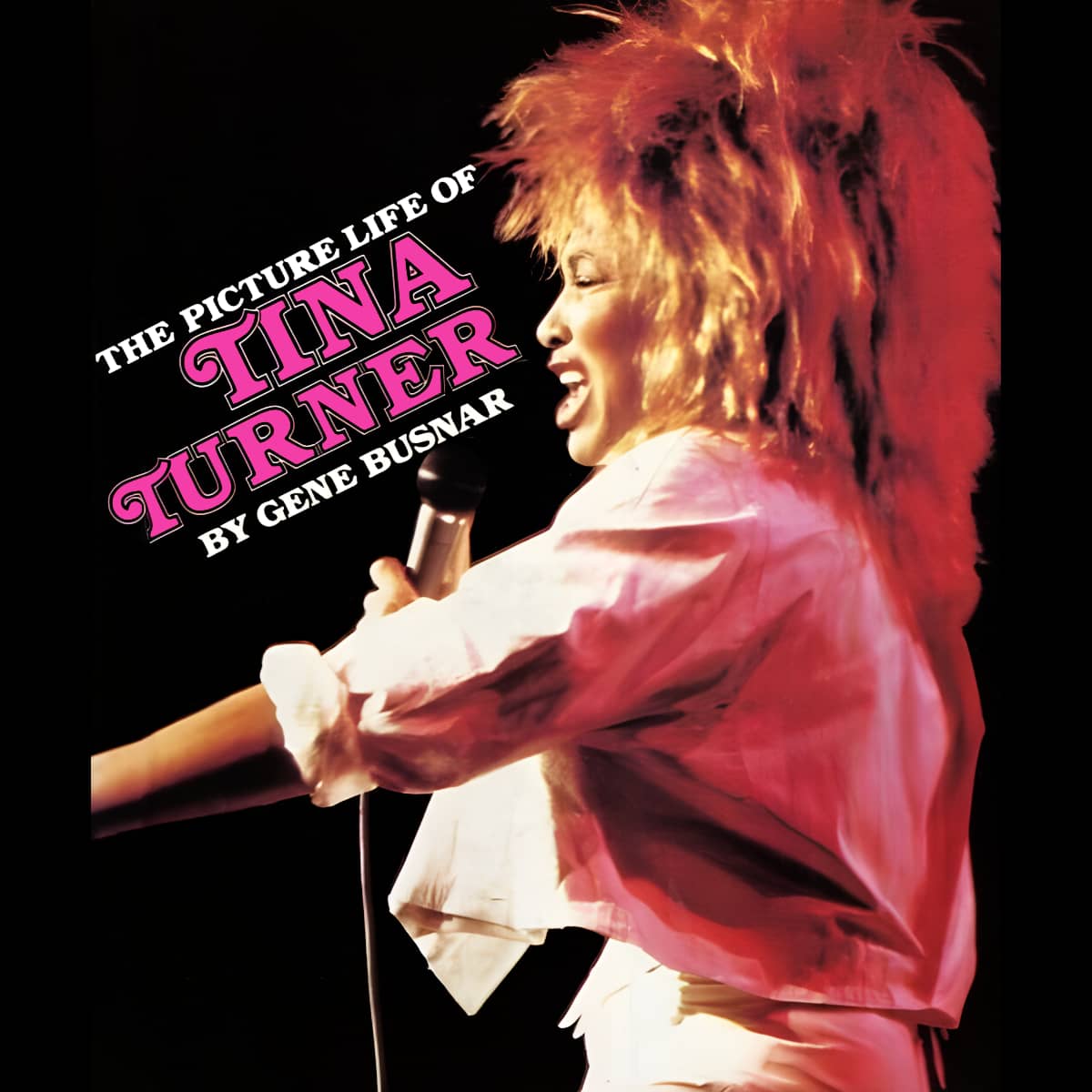 Tina Turner - The Picture Life Of Tina Turner - Book