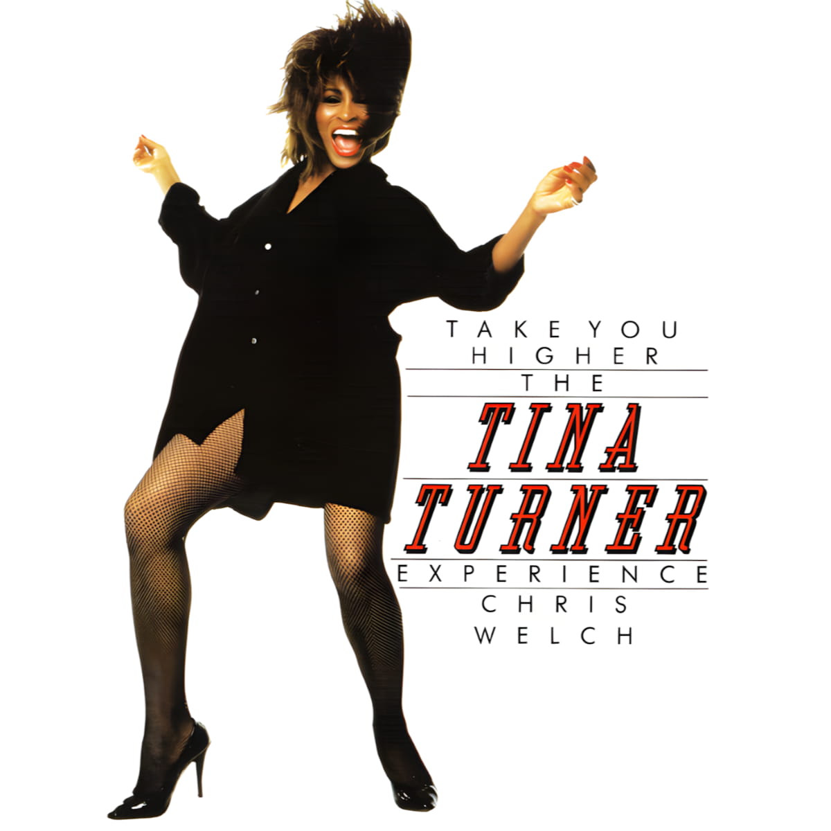 Tina Turner & Chris Welch - The Tina Turner Experience - Book