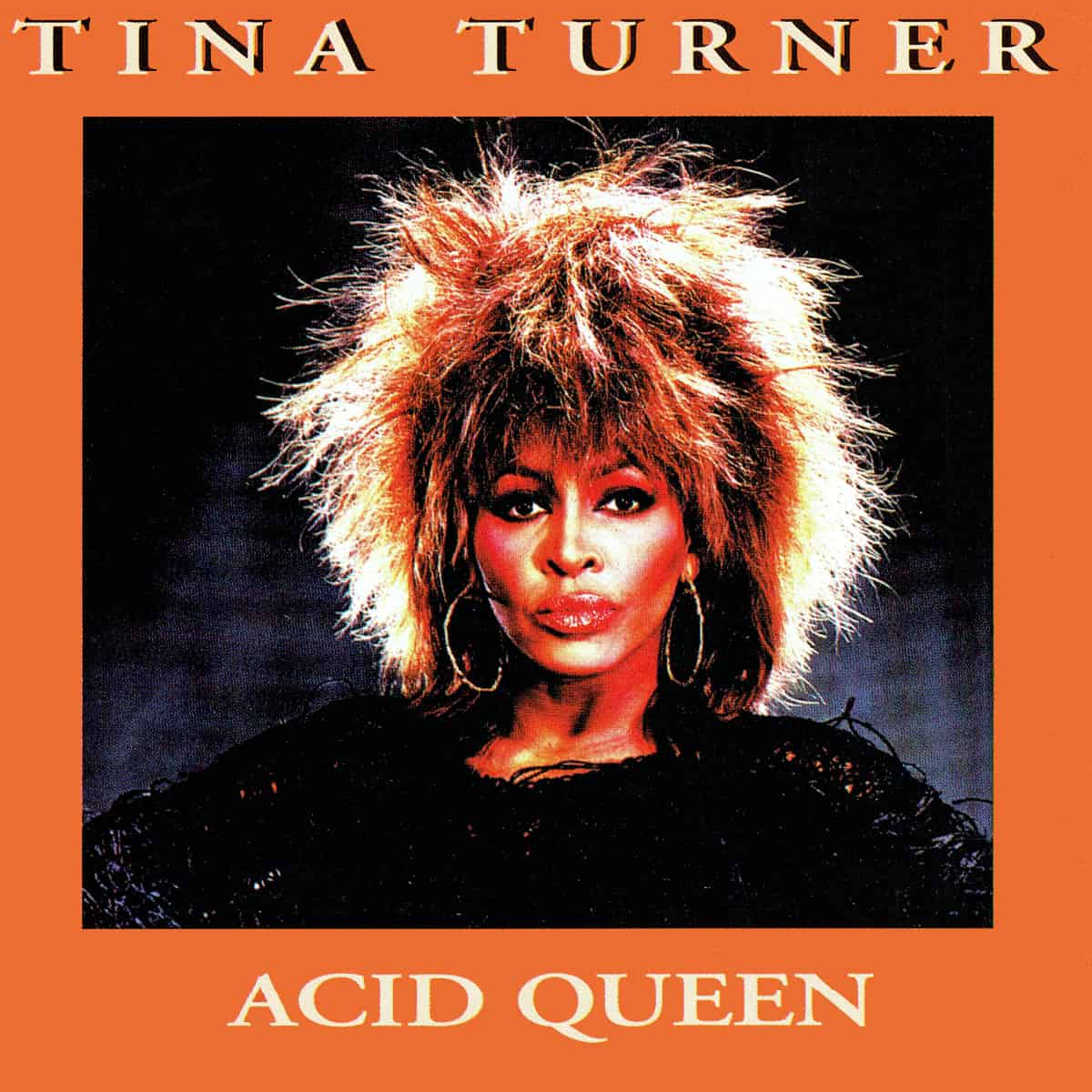 Tina Turner - Acid Queen (Live In Den Bosch) - Bootleg