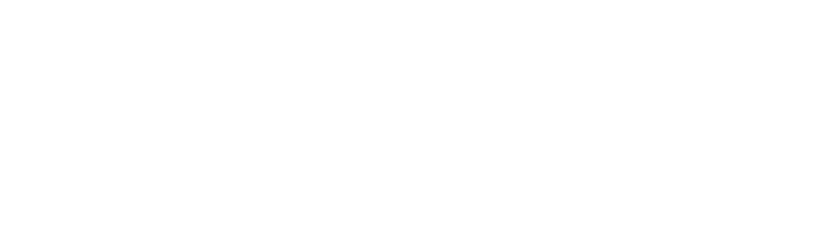 Tina Turner - Greatest Hits Live - Bootleg