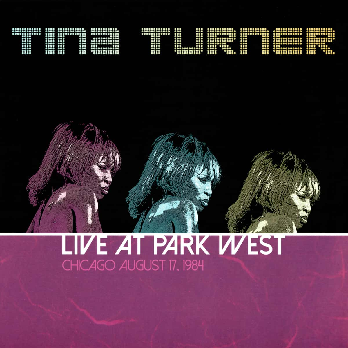 Tina Turner - Live In Chicago - Bootleg