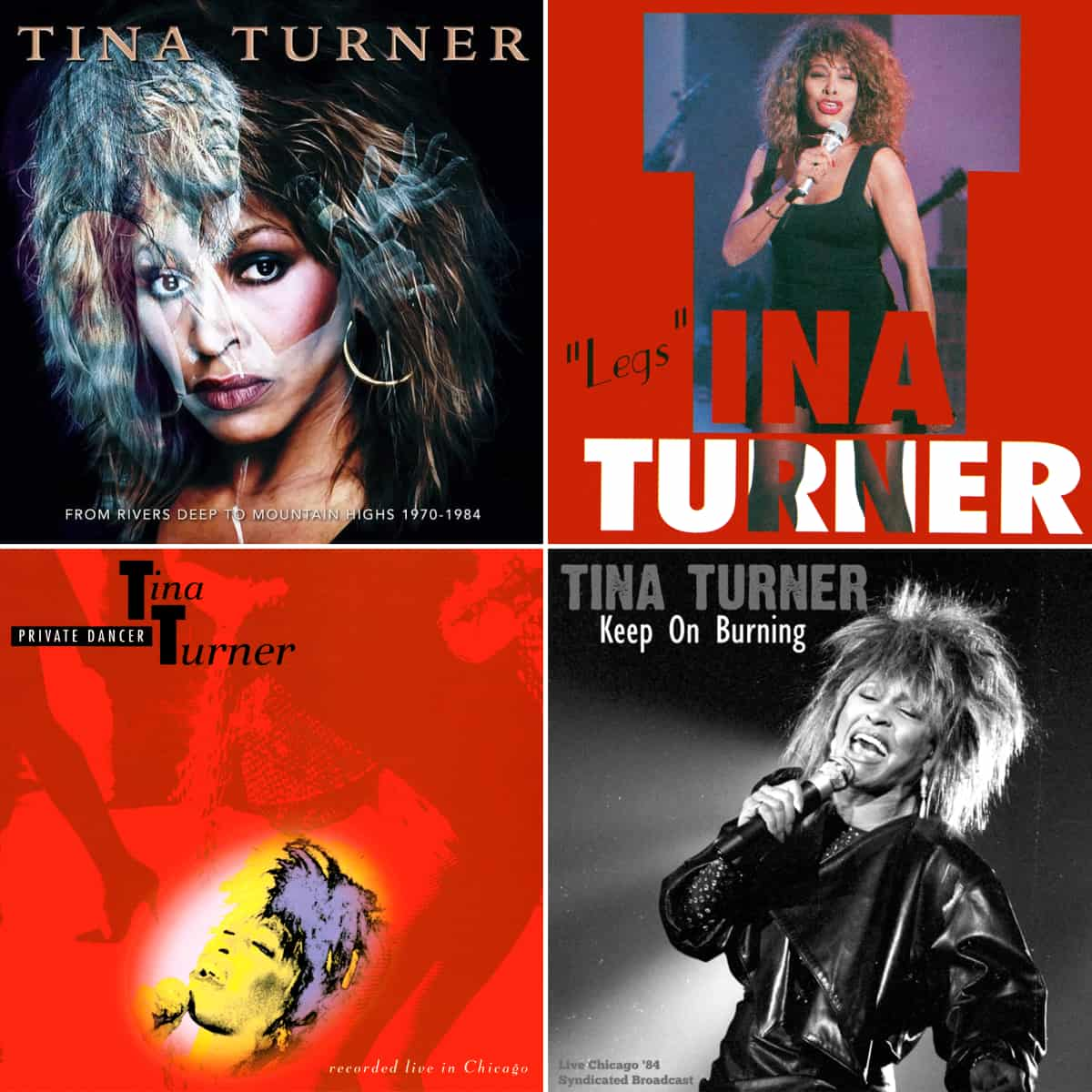 Tina Turner - Live In Chicago - Bootleg