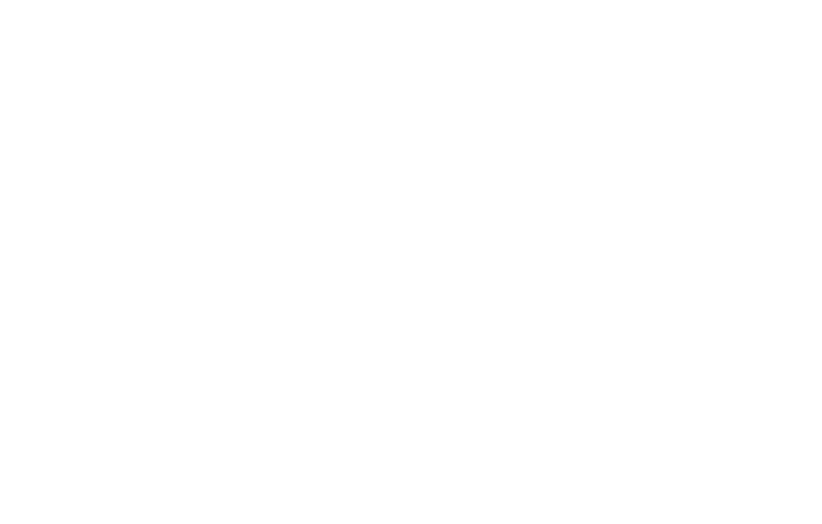 Tina Turner - Live In ’93 - Bootleg