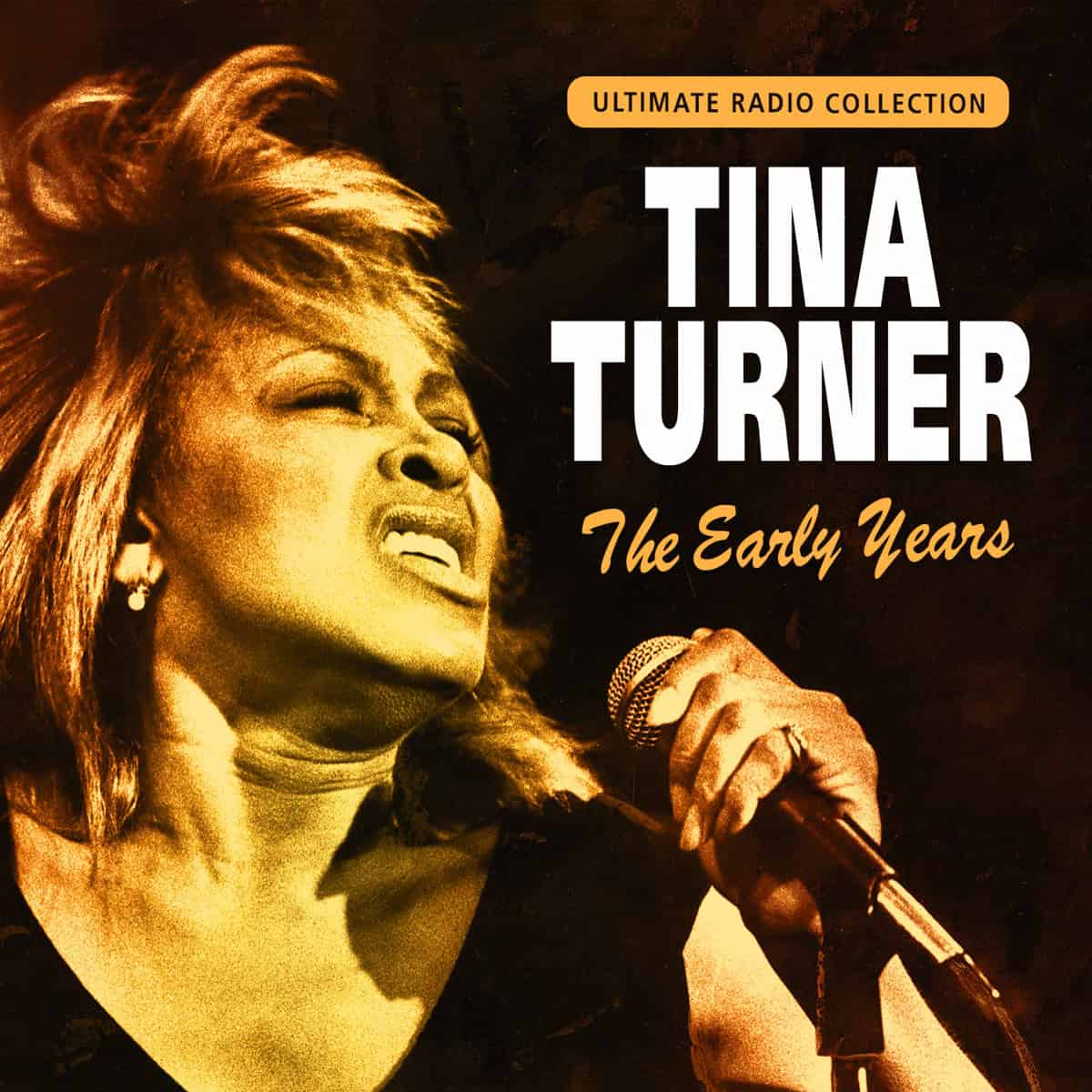 Tina Turner - xxx - Bootleg