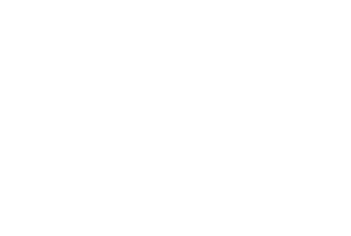 Tina Turner - Saturday Night Live - Video