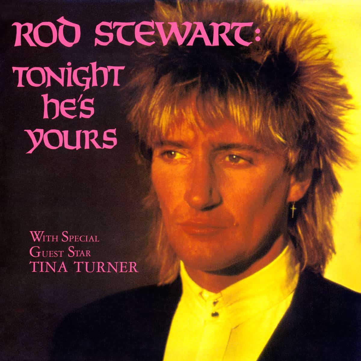 Tina Turner & Rod Stewart - Tonight He's Yours - Video