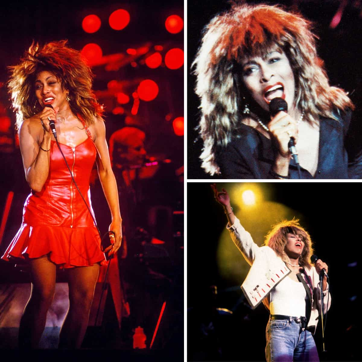 Tina Turner Live Break Every Rule Tour 02