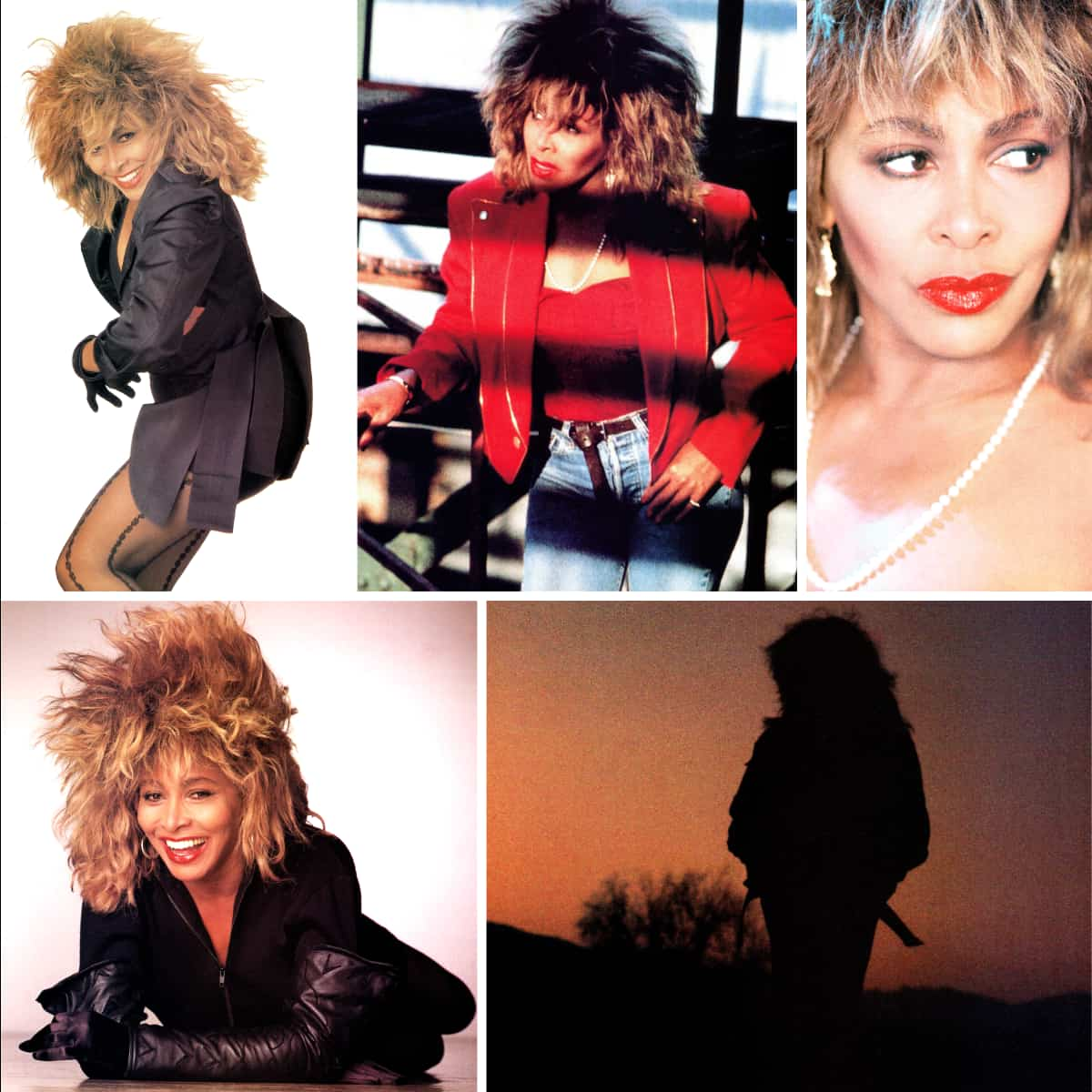 Tina Turner - Break Every Rule Tour Program