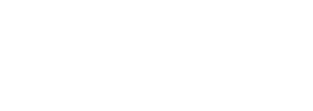 Tina Turner - Gröna Lund - Live