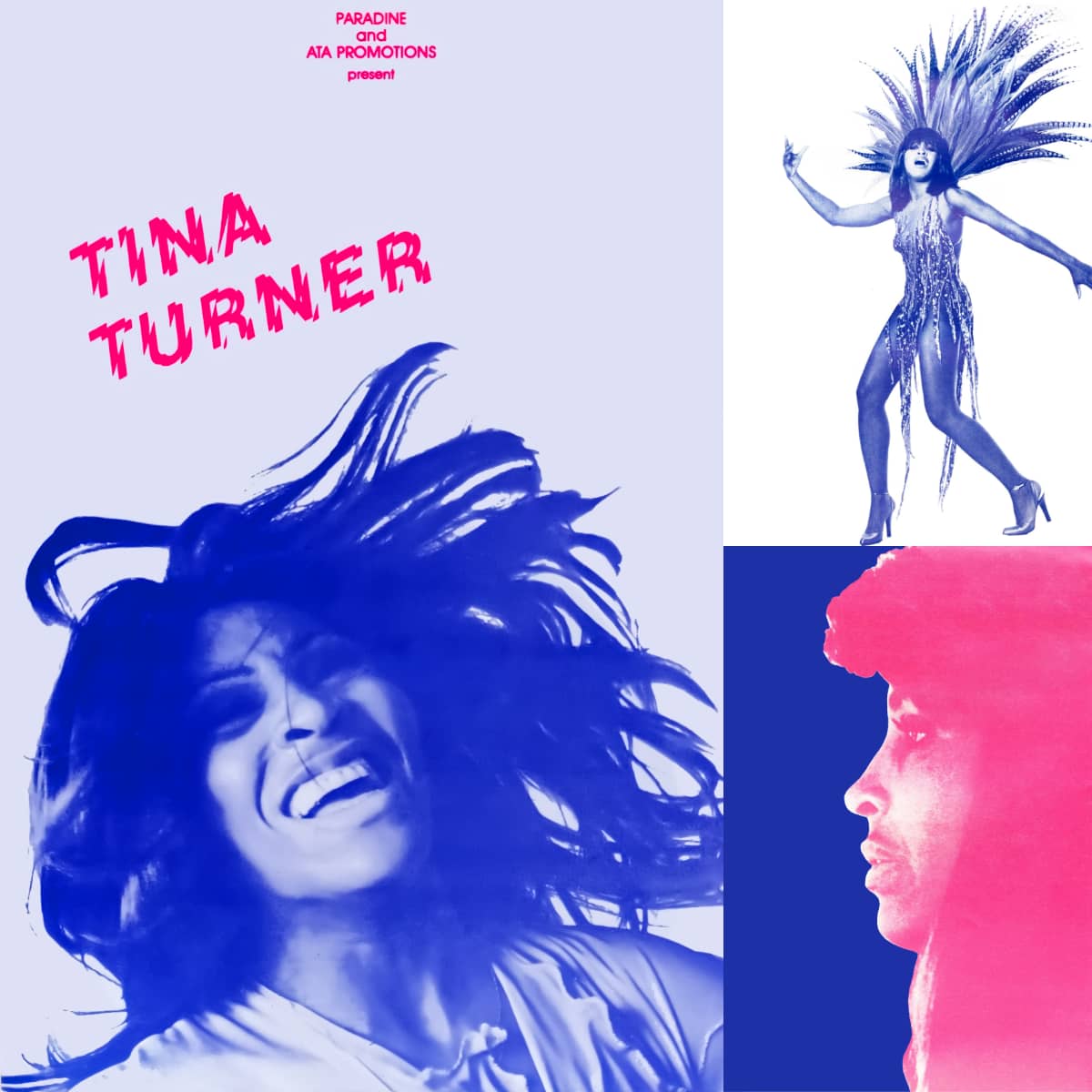 The Tina Turner Show - Tour Program