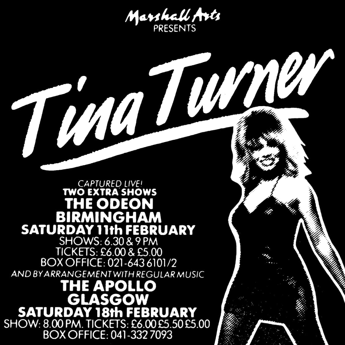 Tina Turner - UK-Tour (1984)