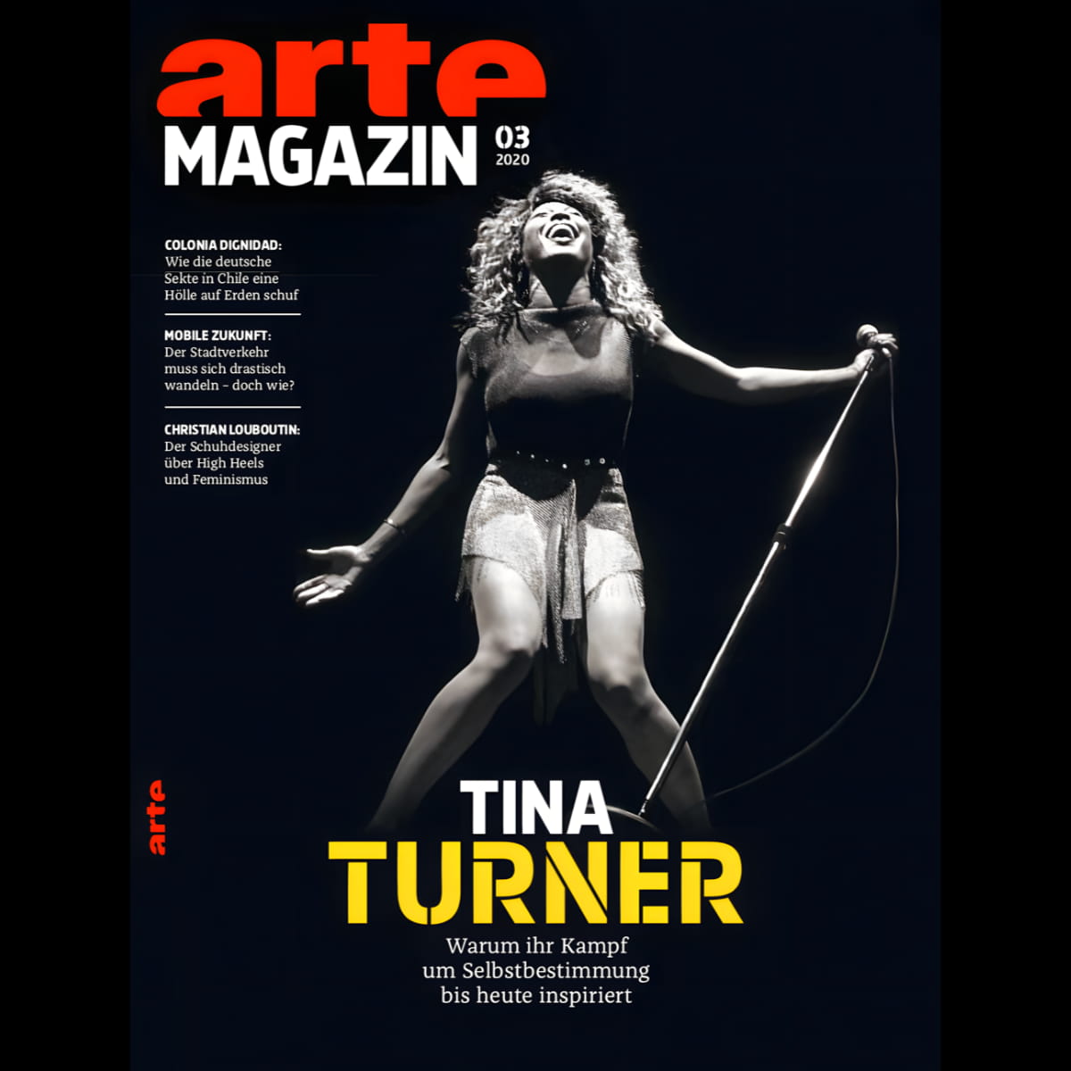 Tina Turner - arte - Magazine