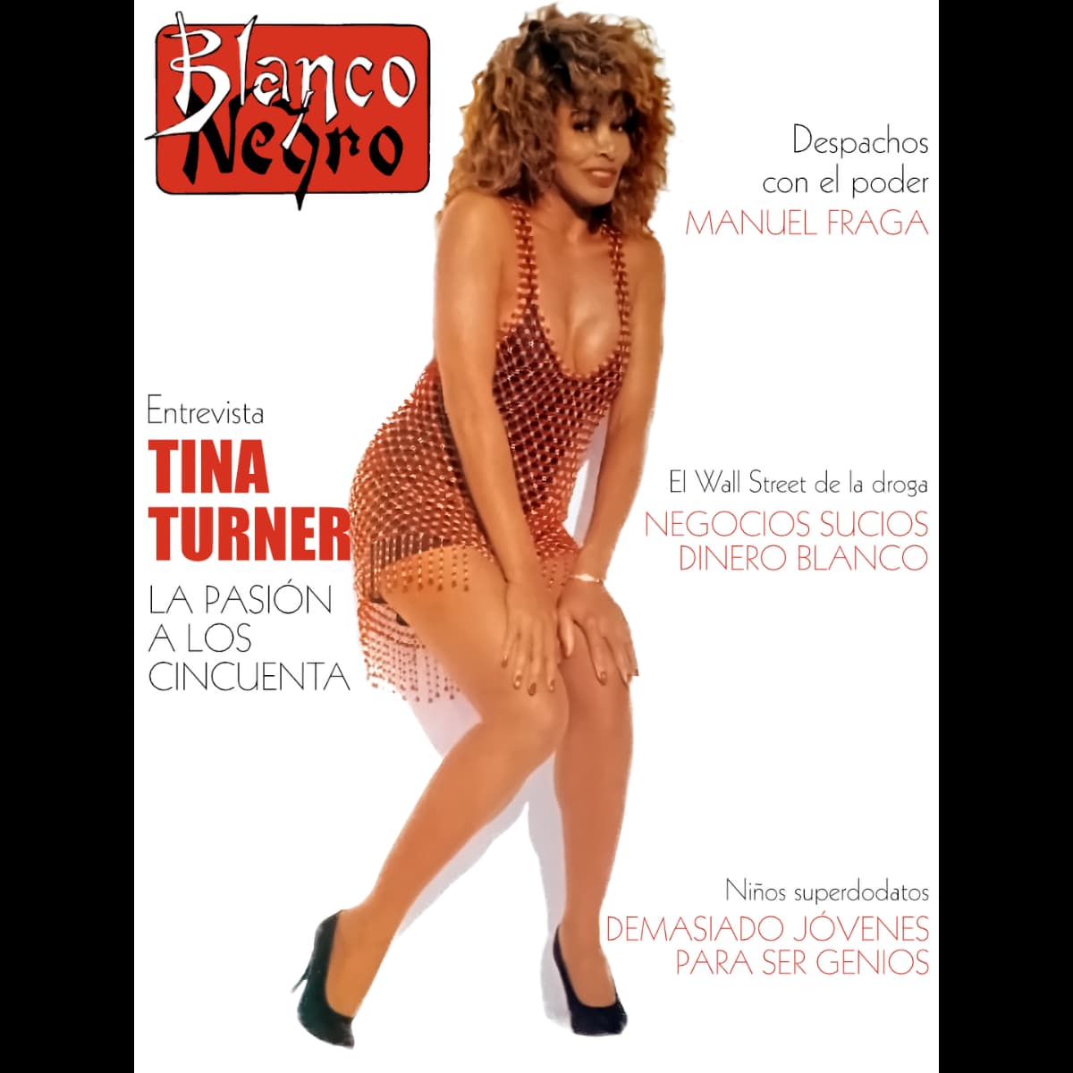 Tina Turner - Blanco y Negro - Magazine