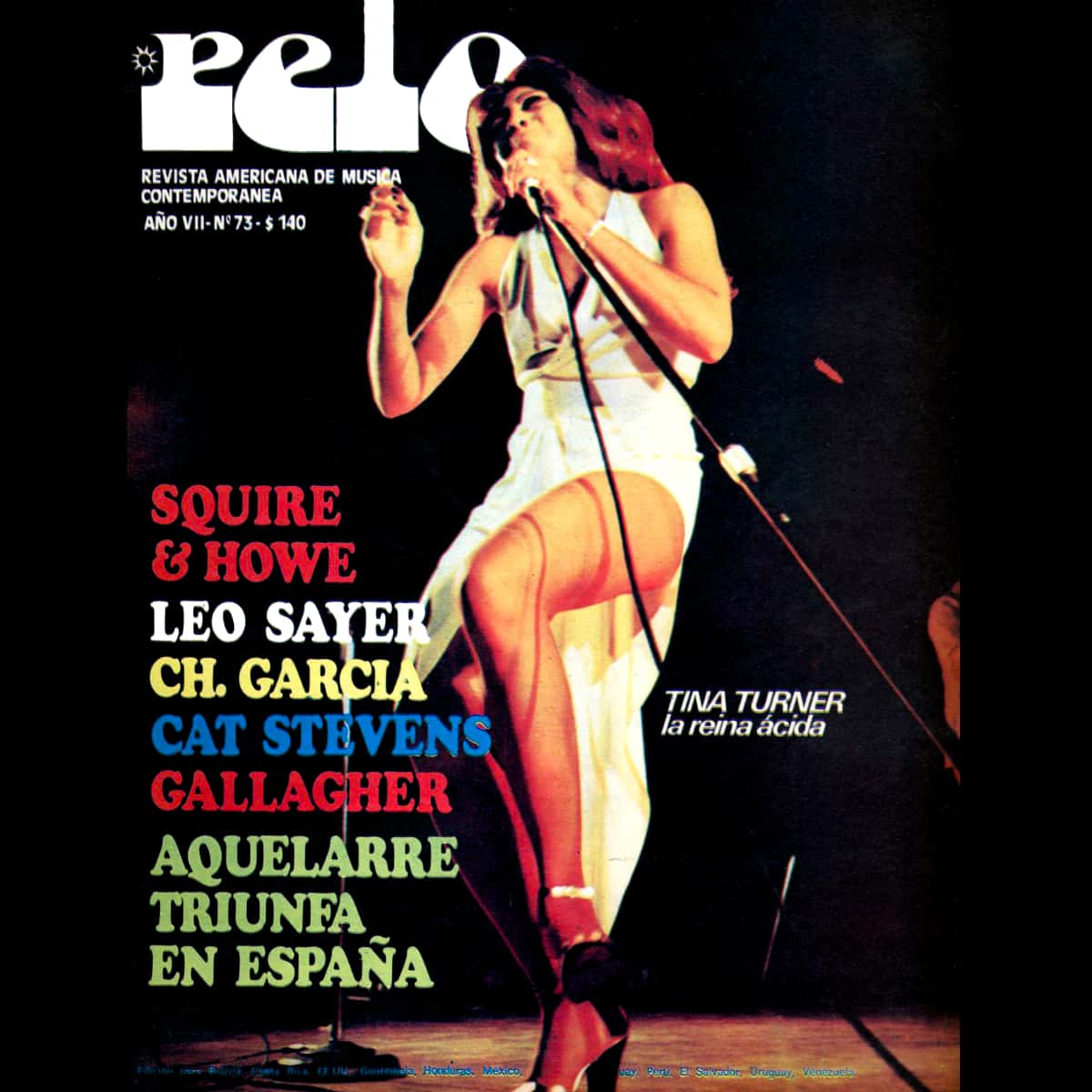 Tina Turner - Pelo - Magazine