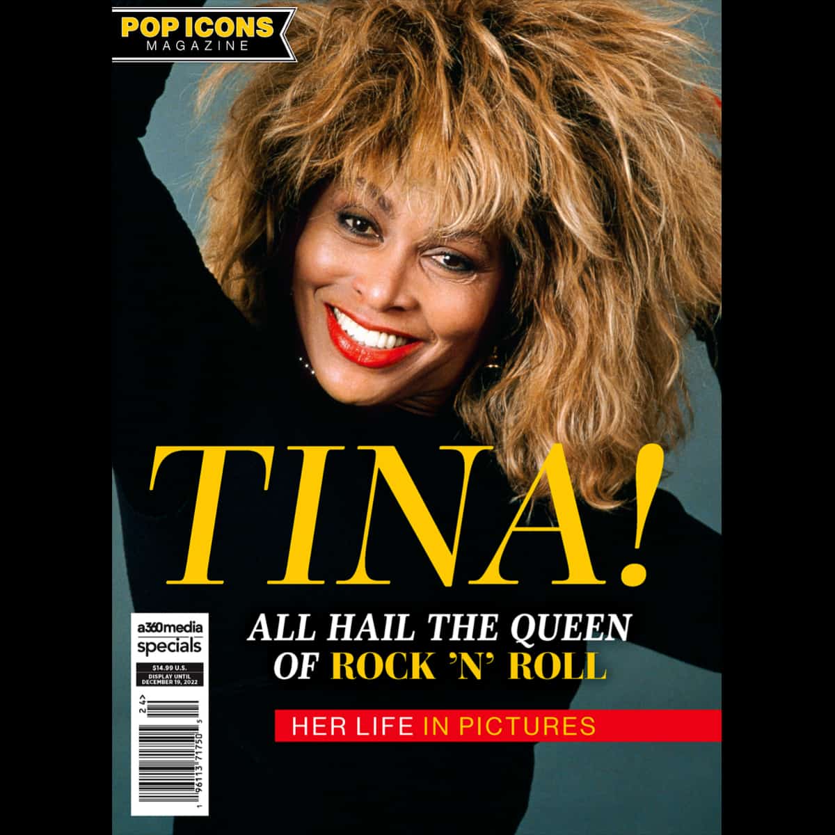 Tina Turner - Pop Icons - Magazine
