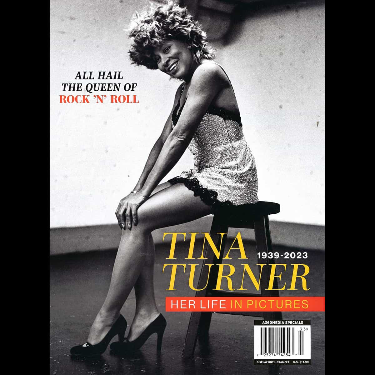 Tina Turner - Pop Icons - Magazine