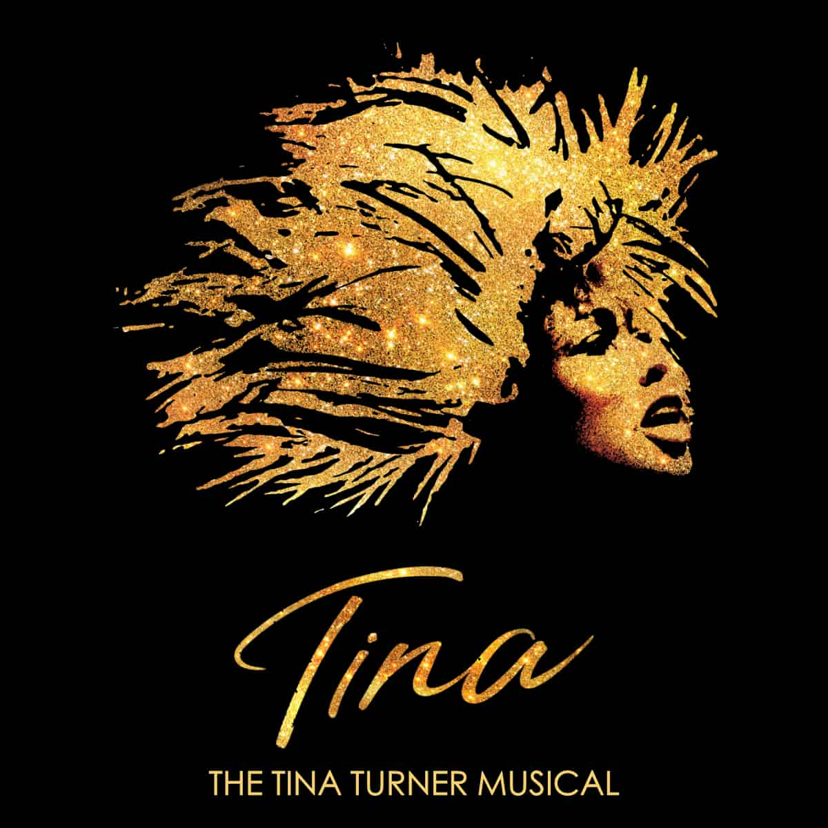 TINA - The Tina Turner Musical