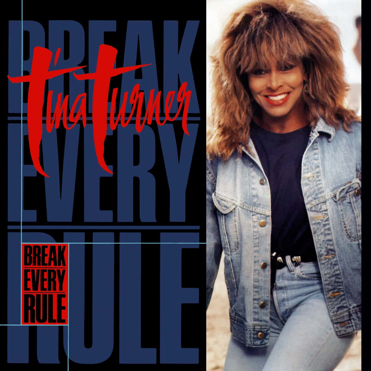 Tina Turner - Break Every Rule - Single