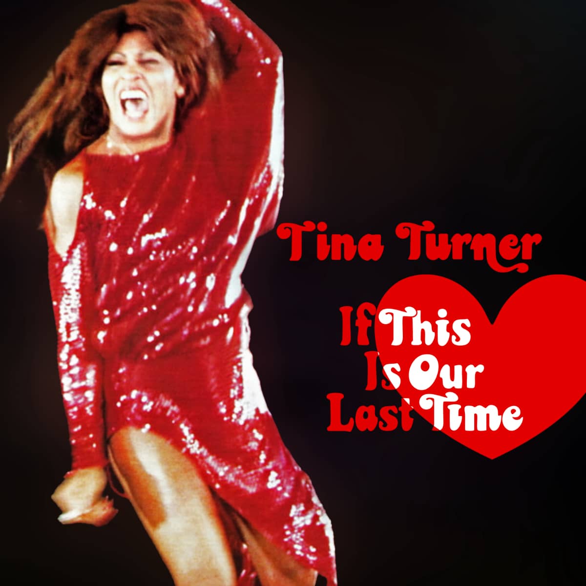 Tina Turner - If This Is Our Last Time - Single