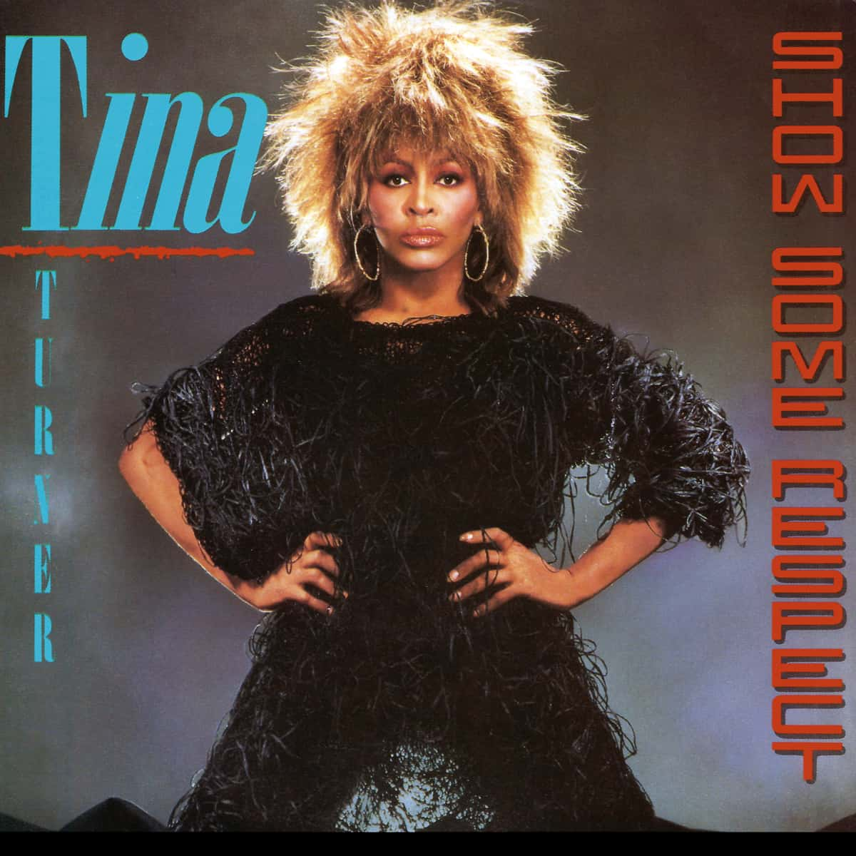 Tina Turner - Show Some Respect - Single