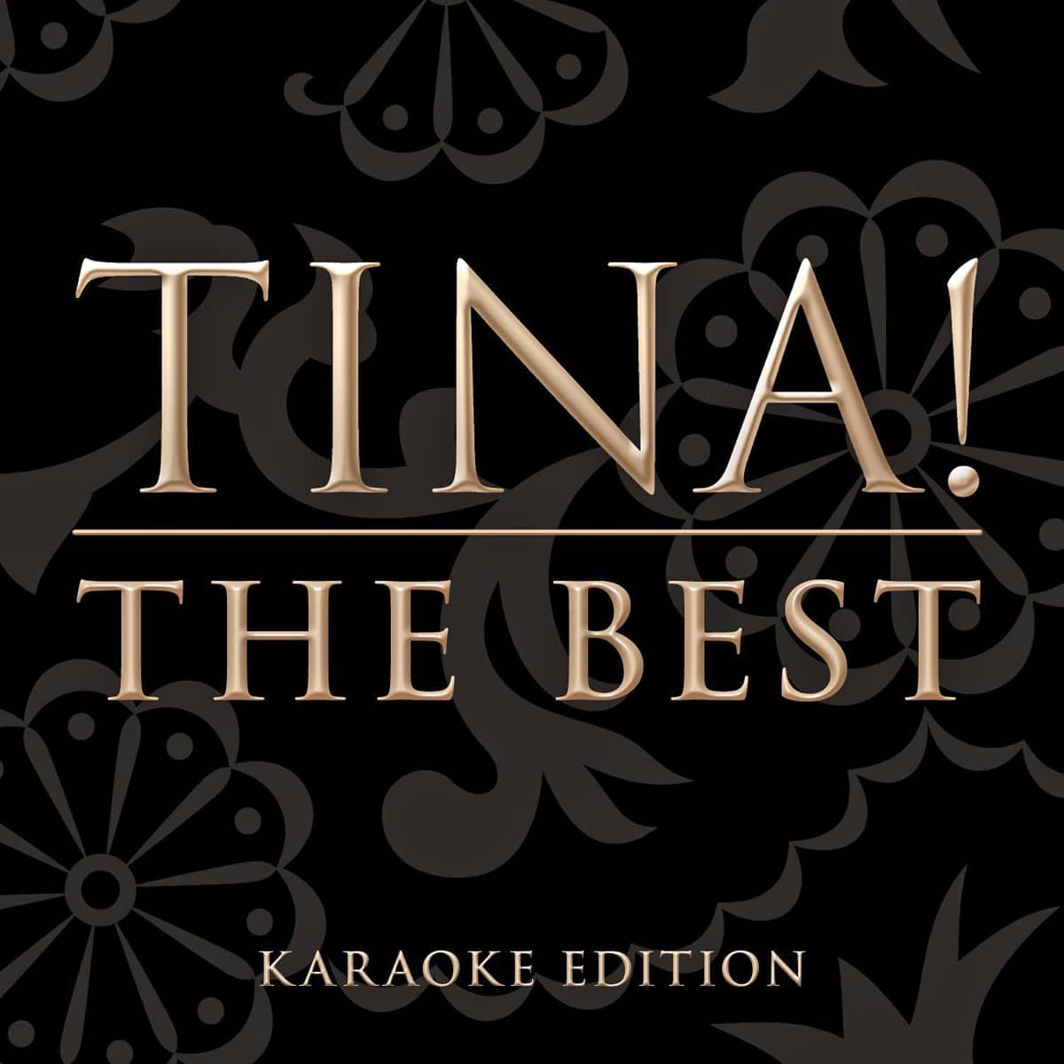 Tina Turner - The Best (Karaoke Edition) - Single